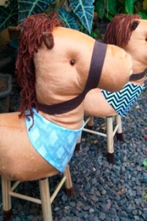banquinho-de-cavalo.jpg